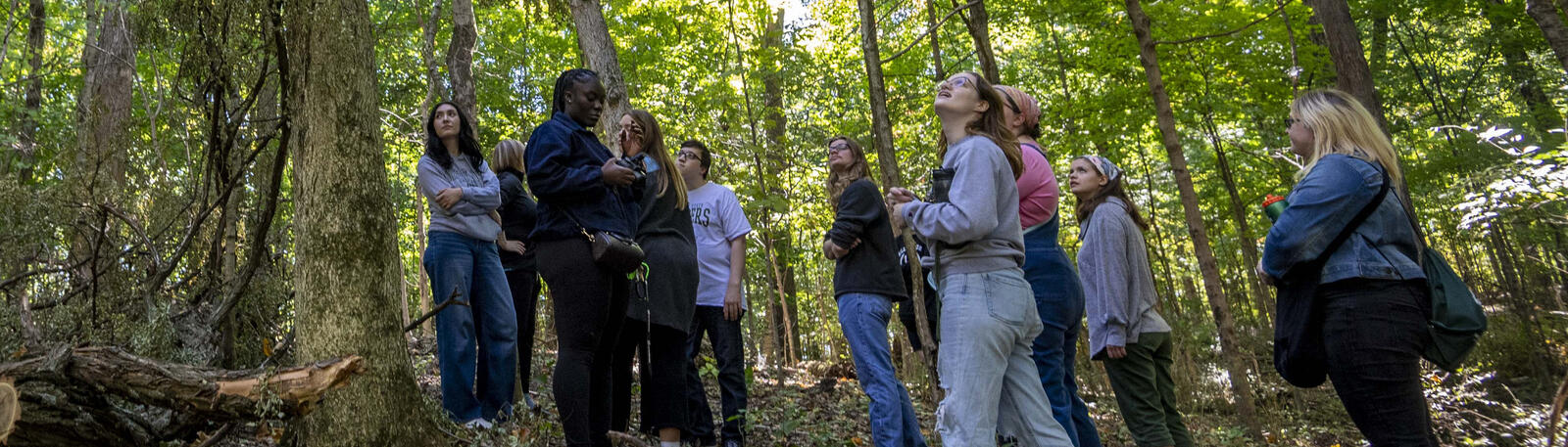 photo of students in a class in the woods at wright state