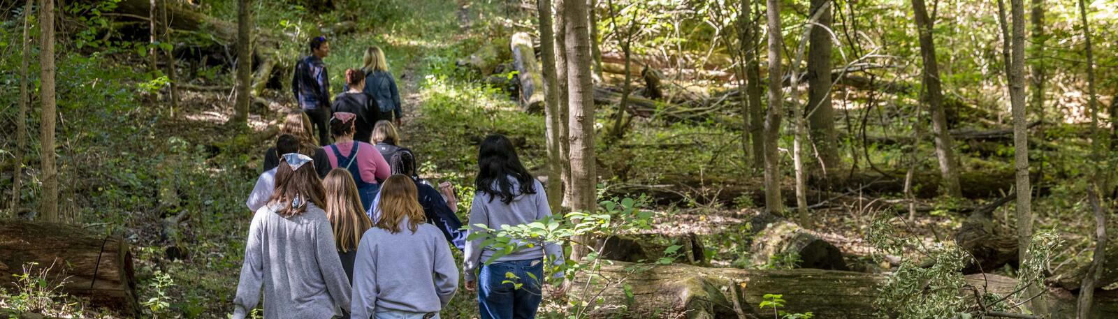 photo of students in a class in the woods at wright state